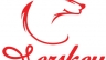 Thiết kế logo