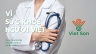 Thiết kế logo Việt Sơn