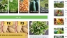 X&acirc;y dựng website mạng x&atilde; hội t&iacute;ch hợp blog về n&ocirc;ng nghiệp sạch TUCTAC.VN