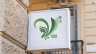 logo V spa