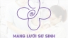 Giải 3 cuộc thi thiết kế logo NewBorns VietNam