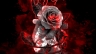 Banner nhạc