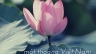 Poster cho Vietnam Airlines (School Project)