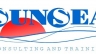 Consulting/Marketing/Sale