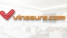 Logo Vina Sure