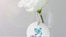 Thương hiệu Cửa tiệm hoa Bitroflower