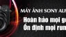 banner ankhang