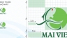 THIẾT KẾ LOGO