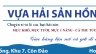 thiết kế bản hiệu