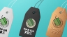 Logo PHO NET - PHO QUAN