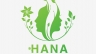 Thiết kế logo Hana