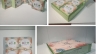 Thiết kế bao b&igrave; kẹo dừa Bến Tre thương hiệu Thanh Long
