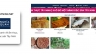 Thiết kế Website