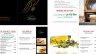 Thiết kế menu