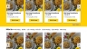 Thiết kế website đặt b&agrave;n nh&agrave; h&agrave;ng