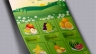 fruit flyer