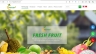 Thi&ecirc;́t k&ecirc;́ web HAPPY FRUIT