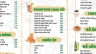 Menu tiệm tr&agrave; chanh