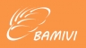 Logo BAMIVI