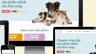 Pet Friend - sản phẩm d&agrave;nh cho th&uacute; cưng