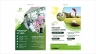 Thiết kế Flyer cho GolfViet