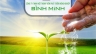 Thiết kế nhận diện thương hiệu c&ocirc;ng ty B&igrave;nh Minh