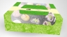 Thiết kế hộp b&aacute;nh Song Thủy WAGASHI