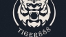thiết kế logo casino