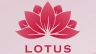 Thiết Kế Bộ nhận diện thương hiệu Lotus
