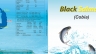 Thiết kế Catalog
