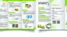 Thiết kế brochure