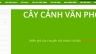 caycanhvanphong.vn