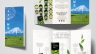 Thiết Kế Brochure