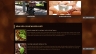 Website c&agrave; ph&ecirc; nguy&ecirc;n chất