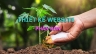 Thiết kế website ph&acirc;n b&oacute;n