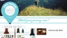 Layout Website diadiemdulich.vn