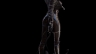Thiết kế nh&acirc;n vật Catwoman