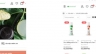 Thiết kế website Cocosavon