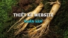 Thiết kế website nh&acirc;n s&acirc;m