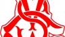 thiet ke logo