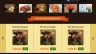 Pretashop website + appstore cửa h&agrave;ng hoa