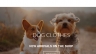 Wordpress cho web http://petloverportal.com/
