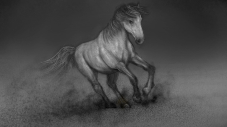 horse.jpg