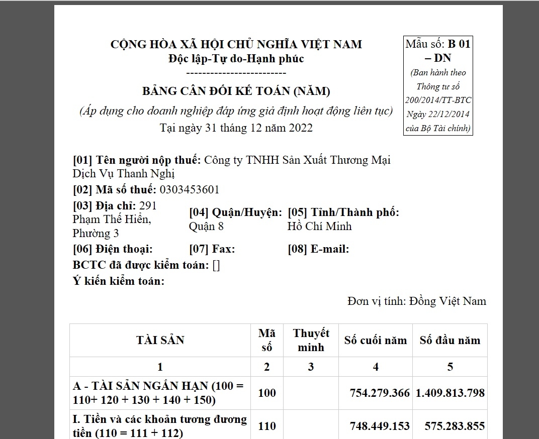 BCTC năm 2022- C&ocirc;ng ty Thanh Nghị.jpg