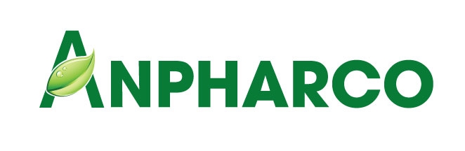 logo-CT.jpg