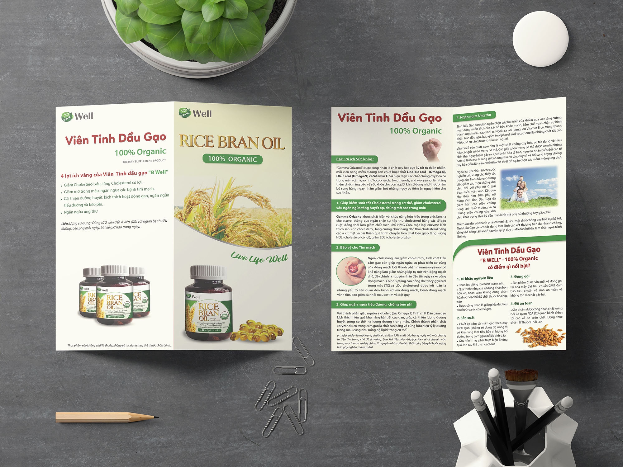 Mockup_Trifold_RBO.jpg