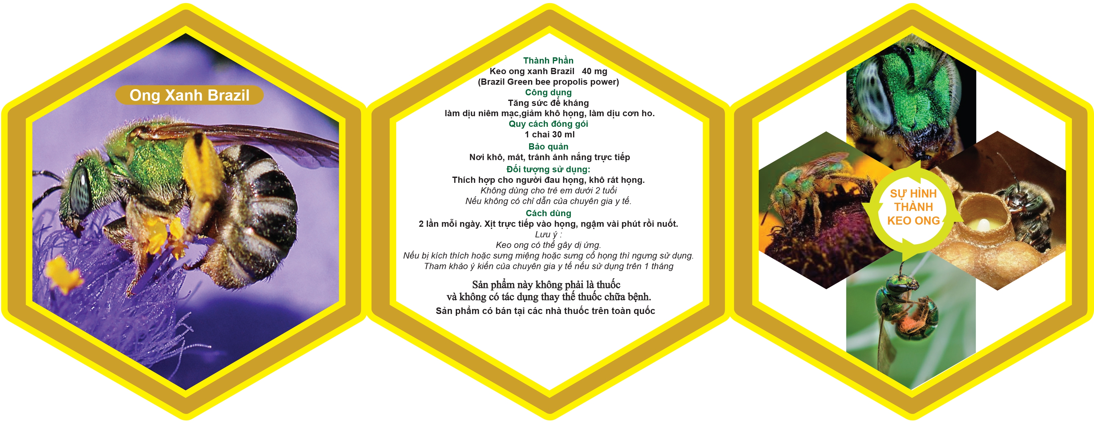 Leaflet Bee Propolis(edit)(fix)-2.jpg