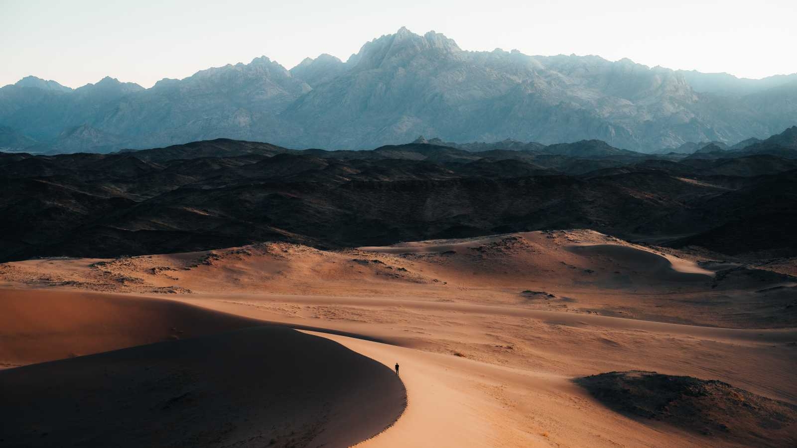 neom-t3dlLOhdEzs-unsplash (2).jpg