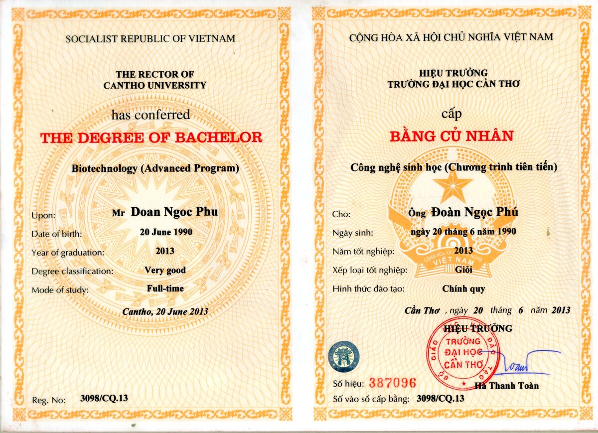 3. Bằng tốt nghiệp.jpg