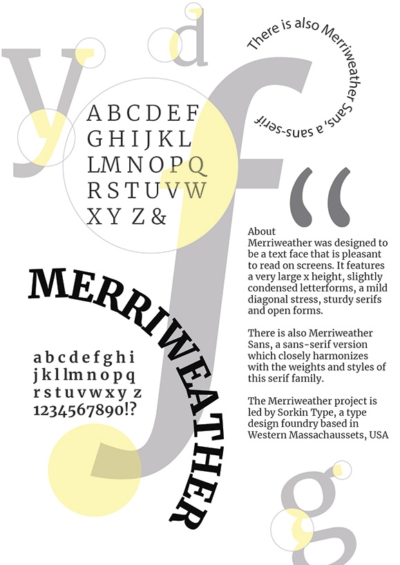typography -bai ca nhan 2.jpg